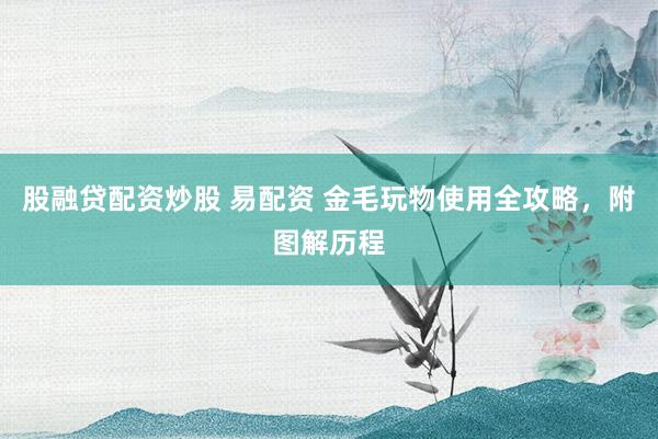股融贷配资炒股 易配资 金毛玩物使用全攻略，附图解历程