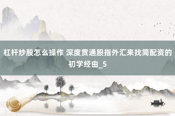 杠杆炒股怎么操作 深度贯通股指外汇来找简配资的初学经由_5