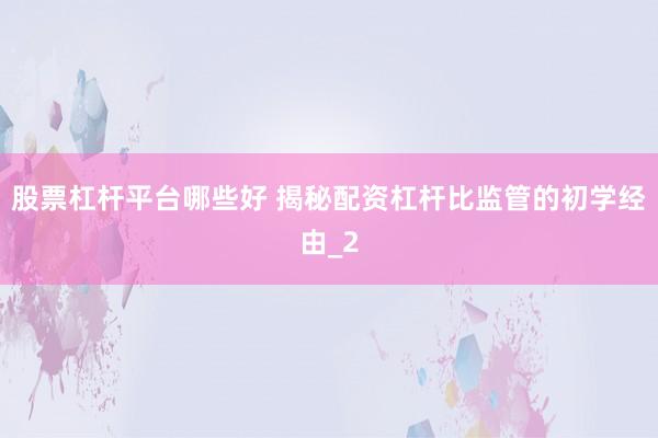 股票杠杆平台哪些好 揭秘配资杠杆比监管的初学经由_2