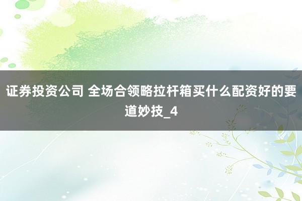 证券投资公司 全场合领略拉杆箱买什么配资好的要道妙技_4